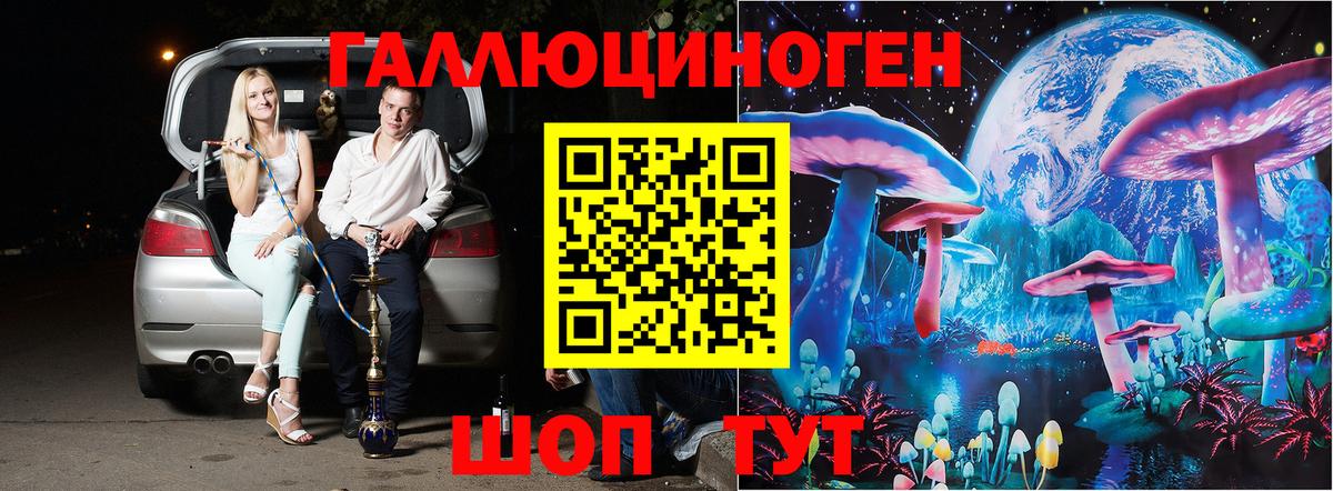 Камышлов  где купить наркоту  Вход с VPN  Галлюциногенные грибы Psilocybe 